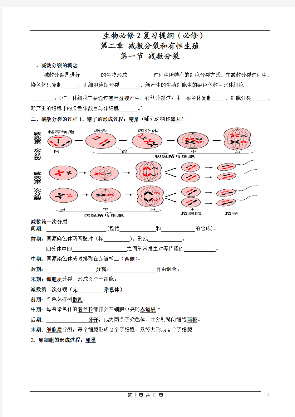 生物必修2复习提纲(必修)修改