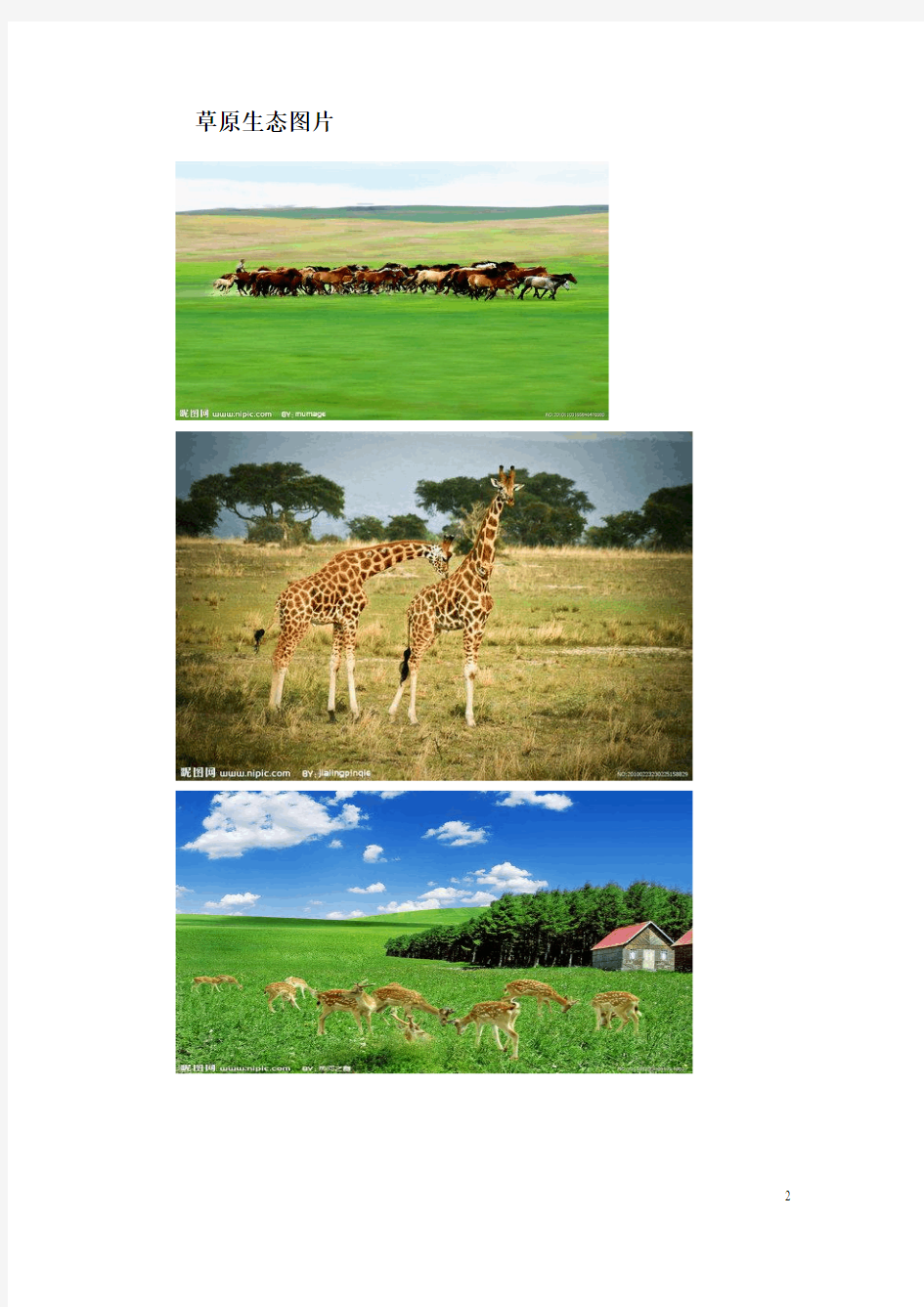 非洲大草原生态变化