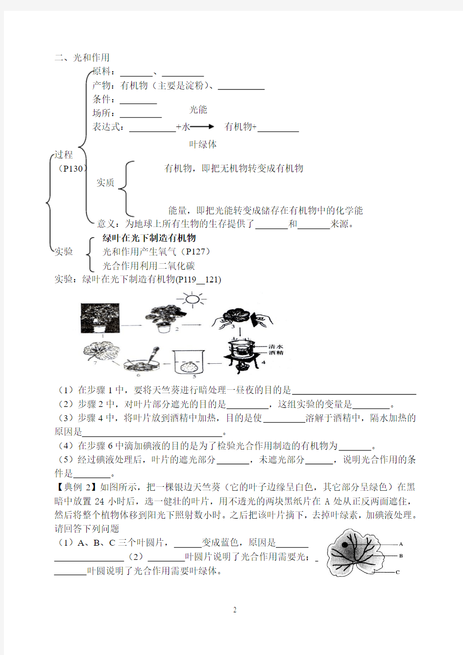 2014绿色植物的作用专题复习导学案