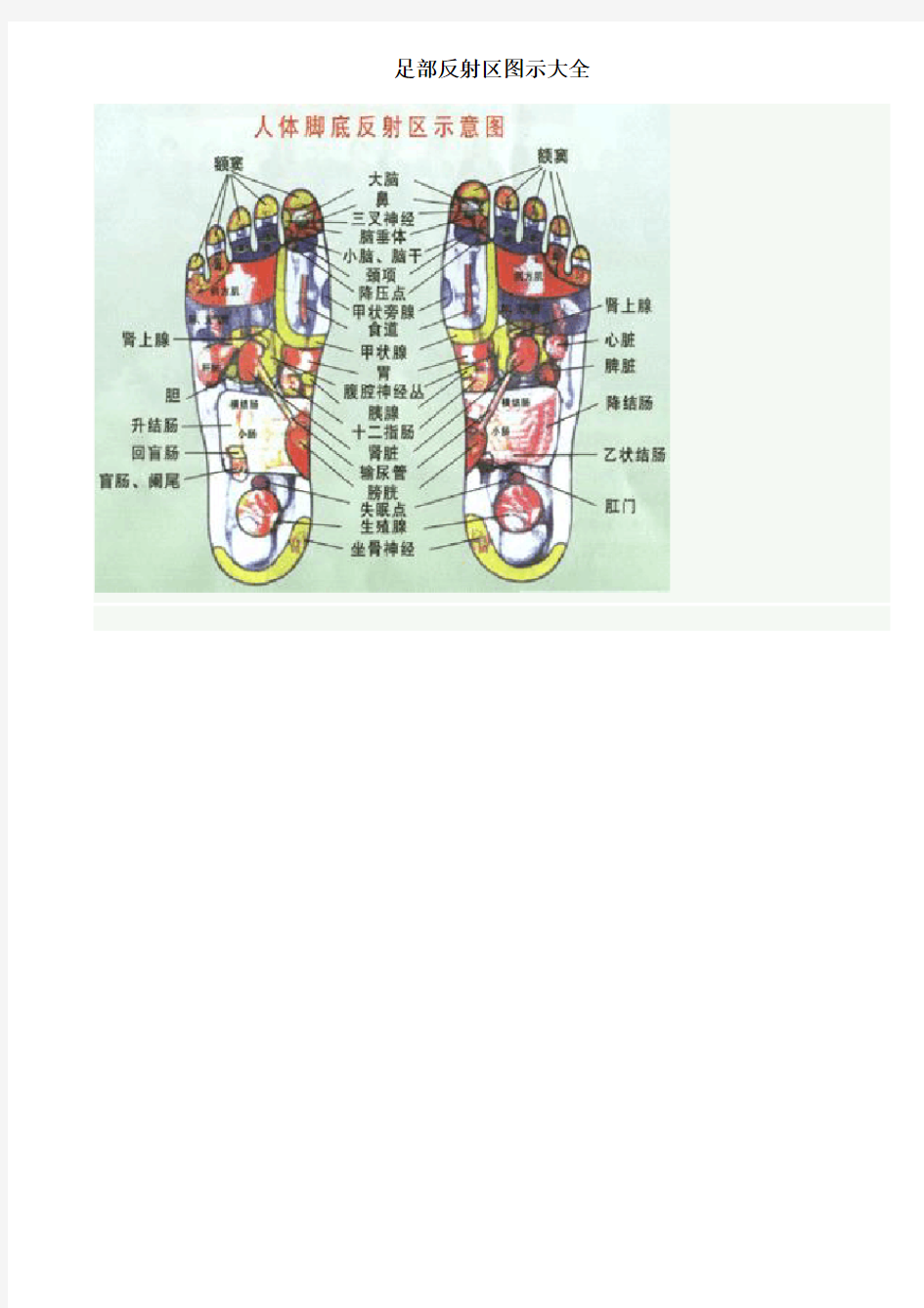 足部反射区图示大全