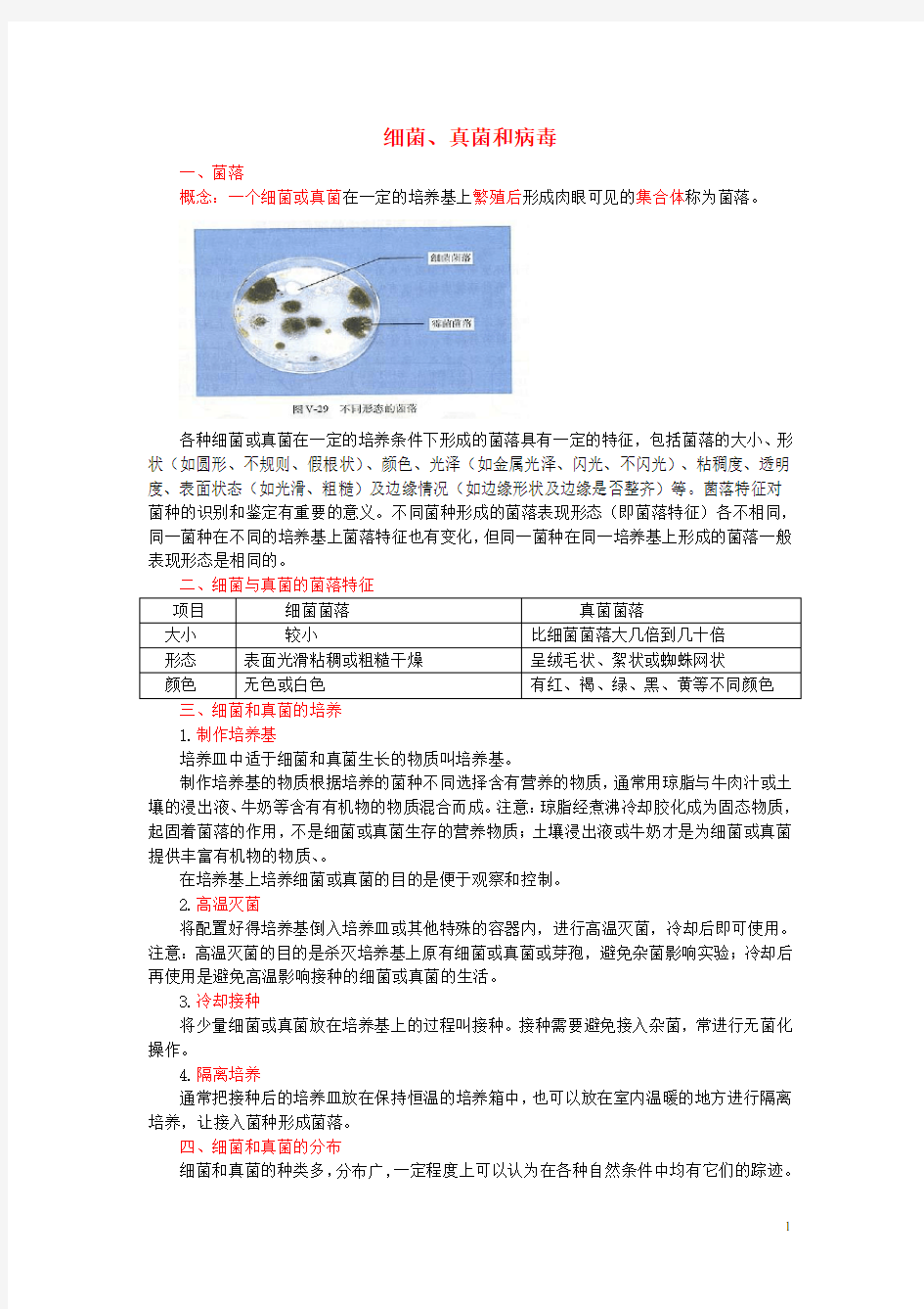 中考生物复习 细菌、真菌和病毒知识点总结 新人教版