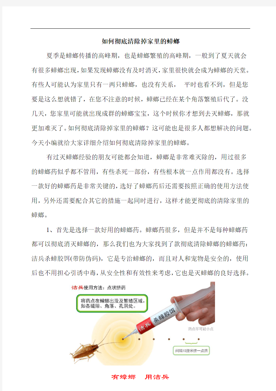 如何彻底清除掉家里的蟑螂