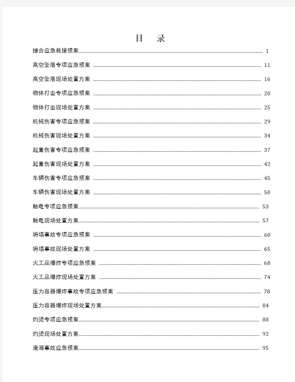 应急预案及现场处置方案