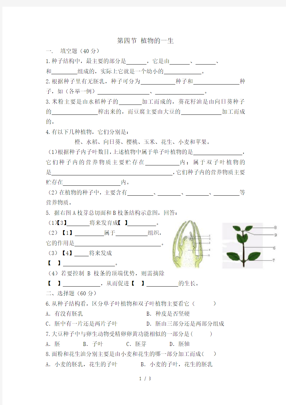 第四节 植物的一生练习题