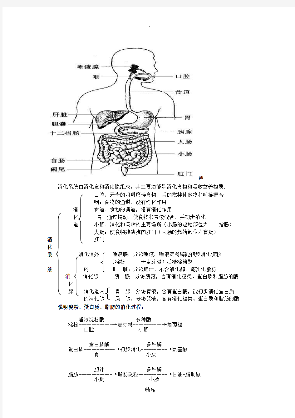 七年级下册生物图