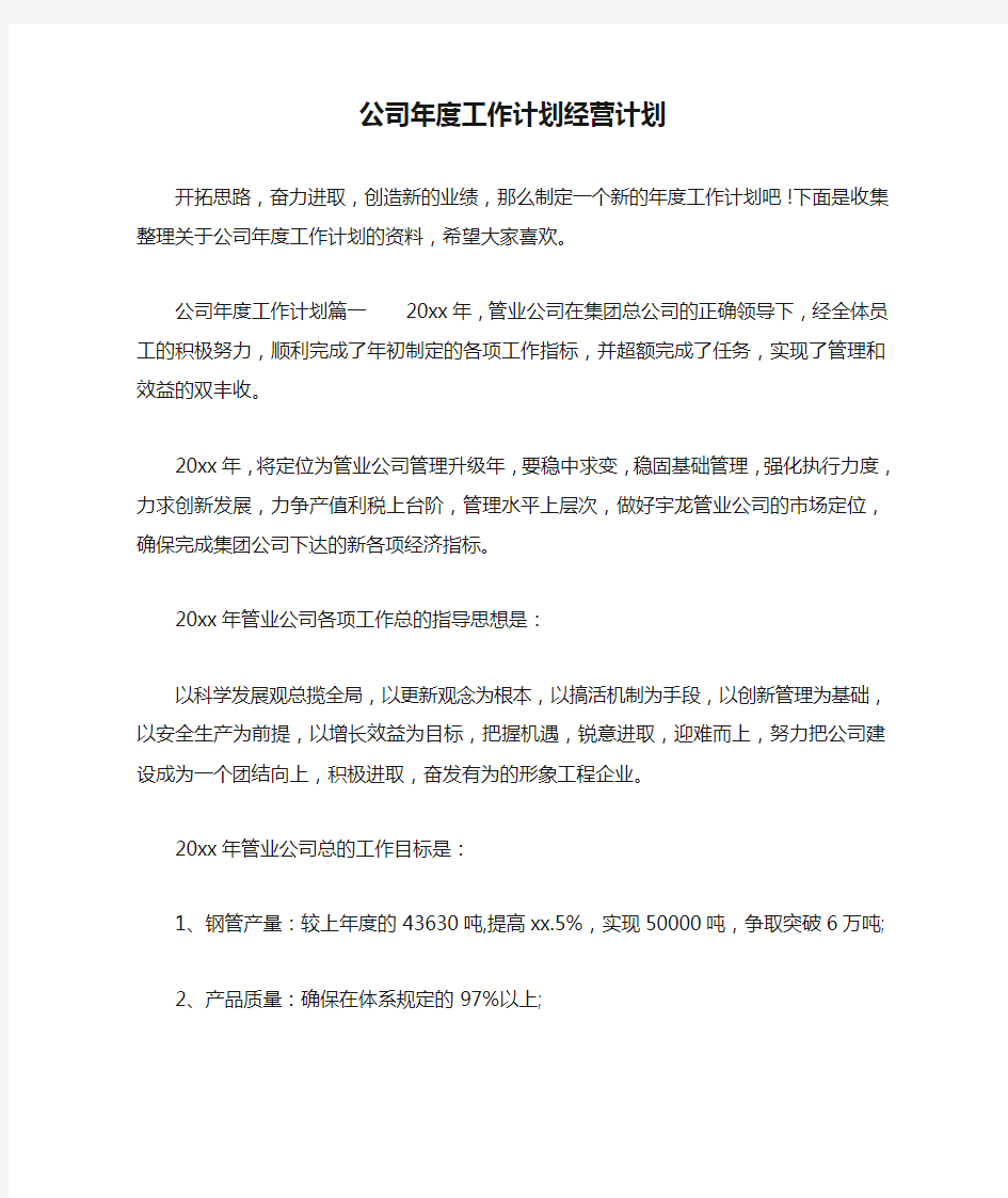 公司年度工作计划经营计划