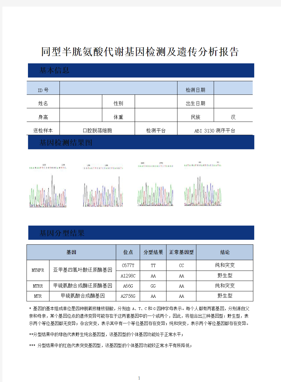 同型半胱氨酸代谢基因检测报告(模板)