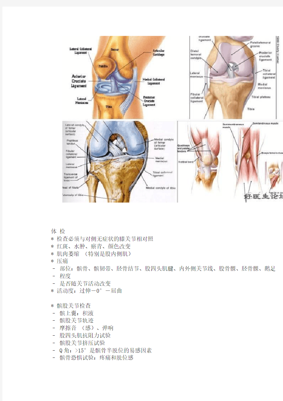 膝关节疼痛的诊断与鉴别诊断(附图) [图片]