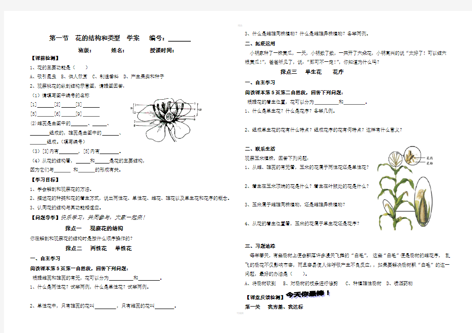 花的结构和类型学案