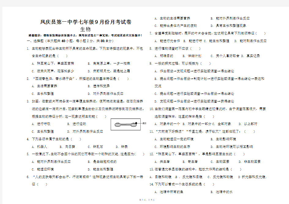 凤庆县第一中学七年级9月份月考试卷-学生用卷