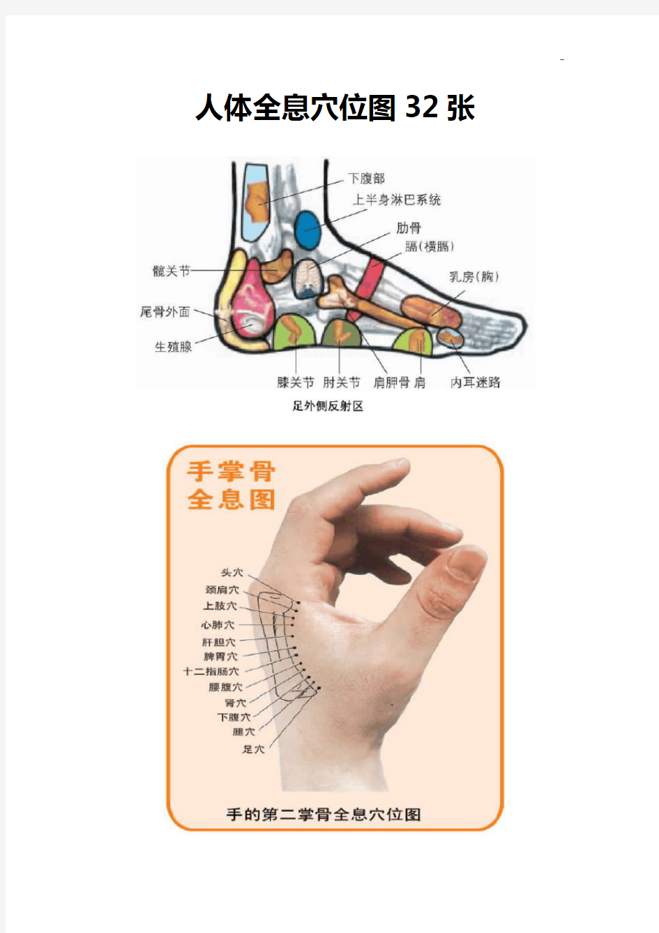 人体全息穴位图32张