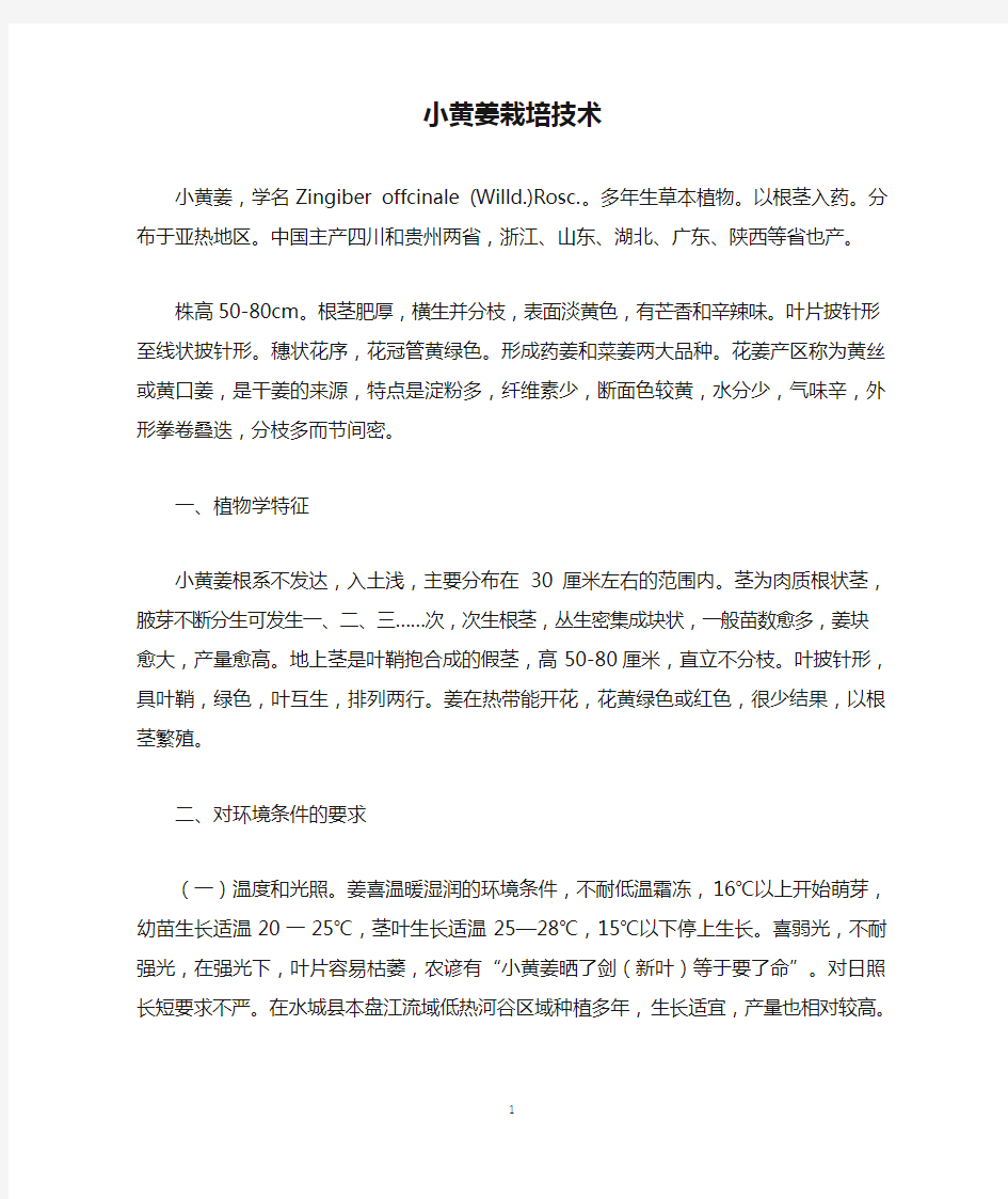 小黄姜栽培技术