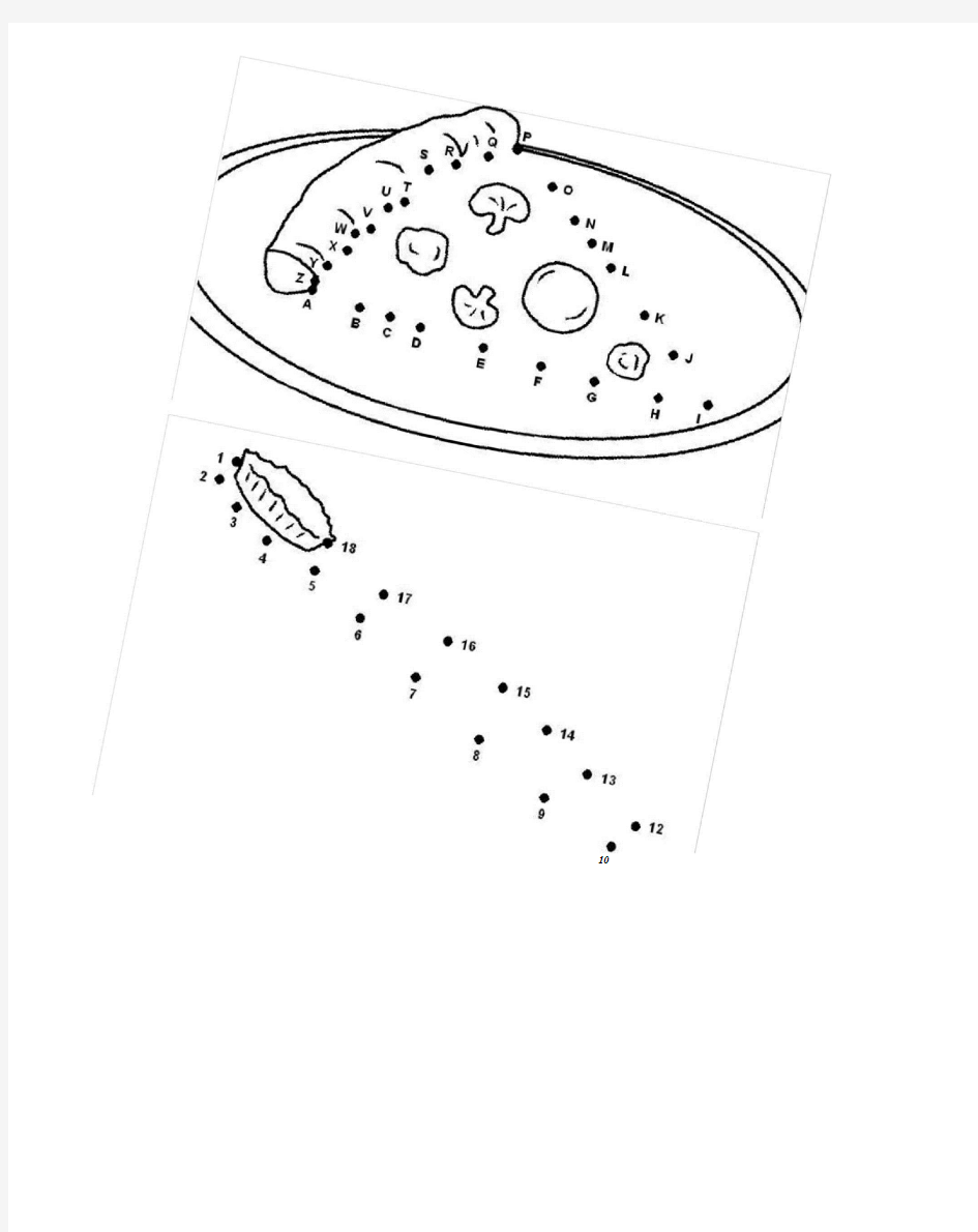 完整版数字连线100张