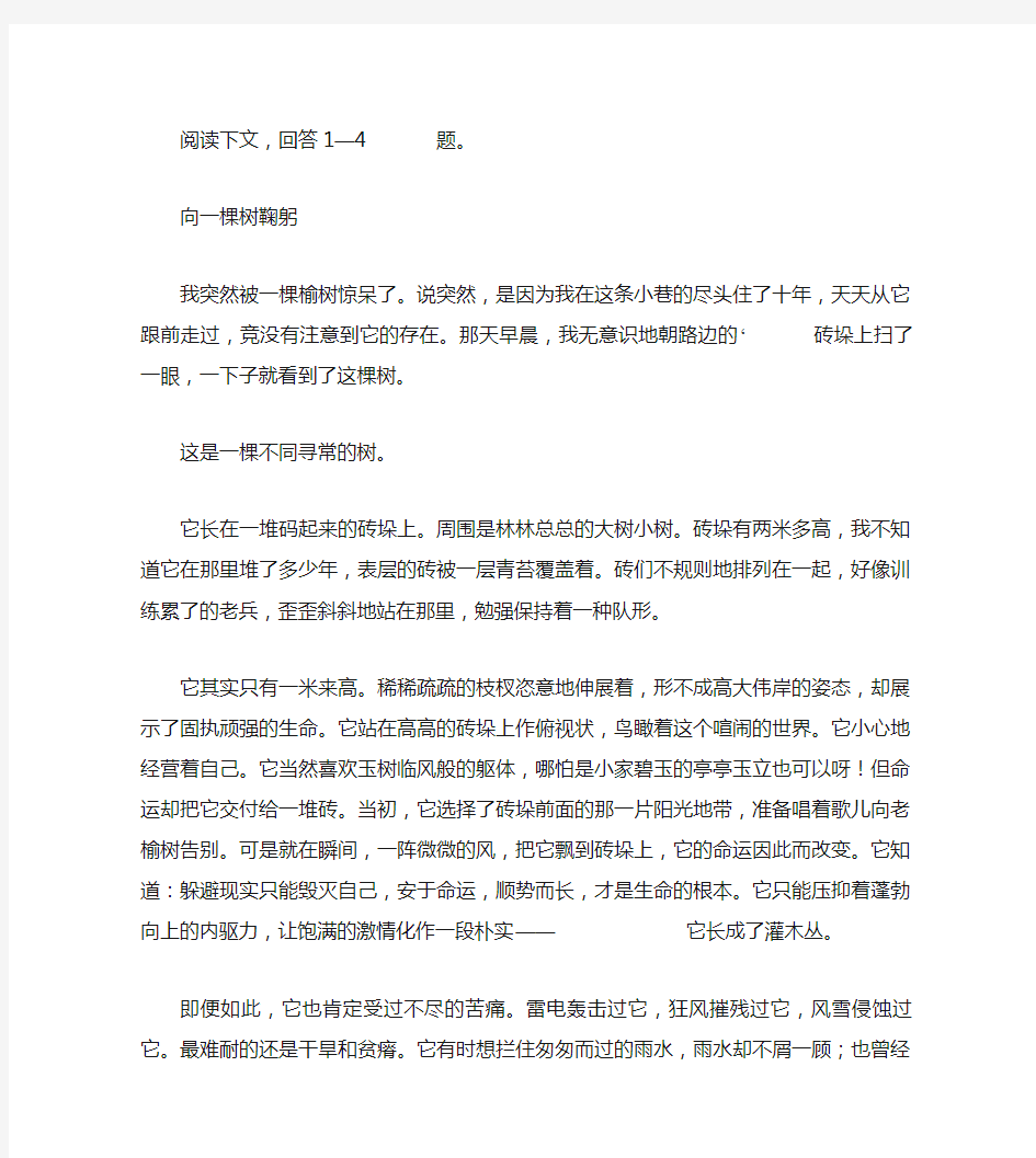 向一棵树鞠躬阅读附答案