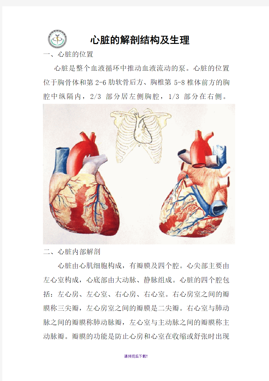 心脏地解剖结构及生理(含彩图)