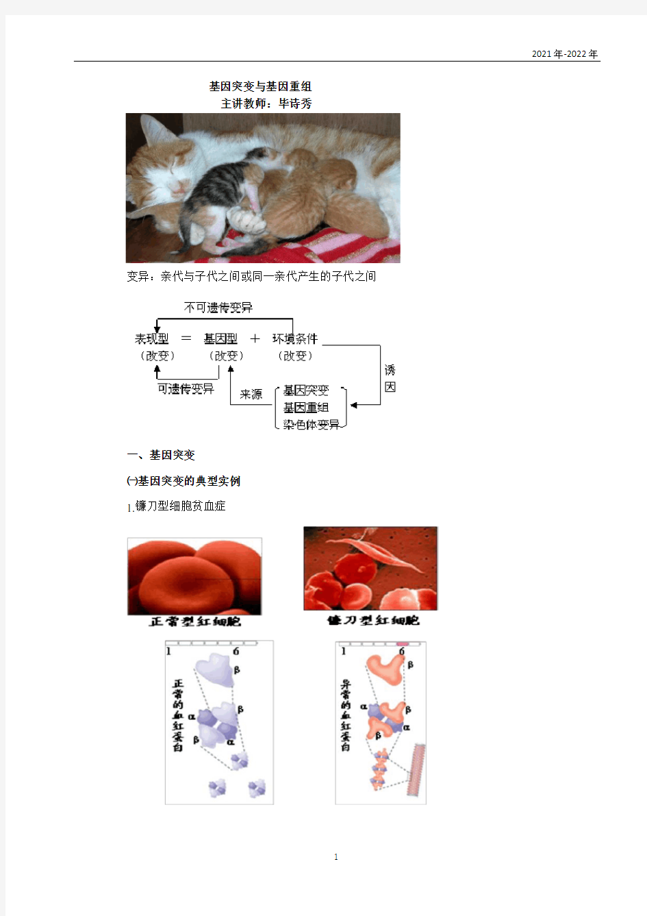 高一生物生物的变异和进化-01基因突变和基因重组