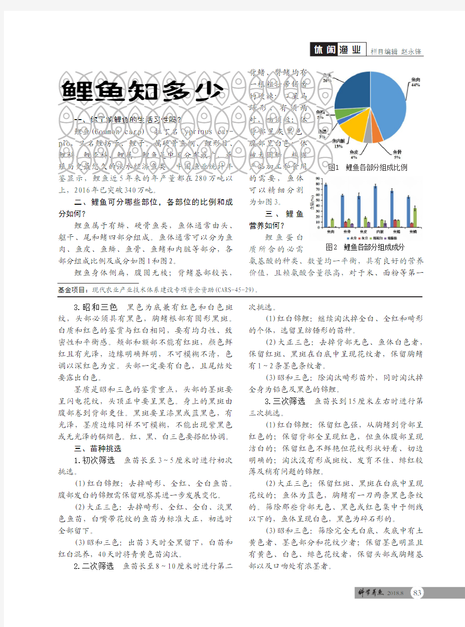 三种锦鲤的分类和鉴赏