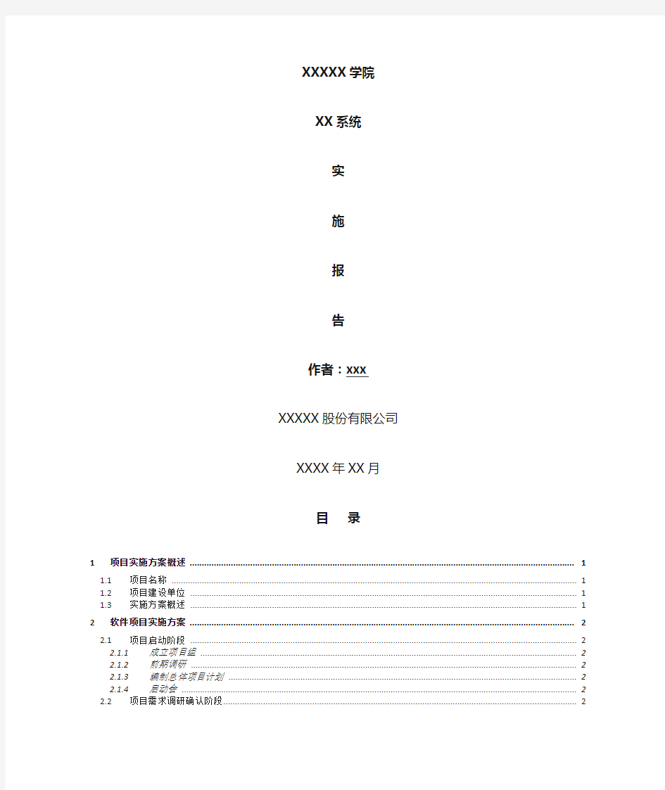 项目实施报告