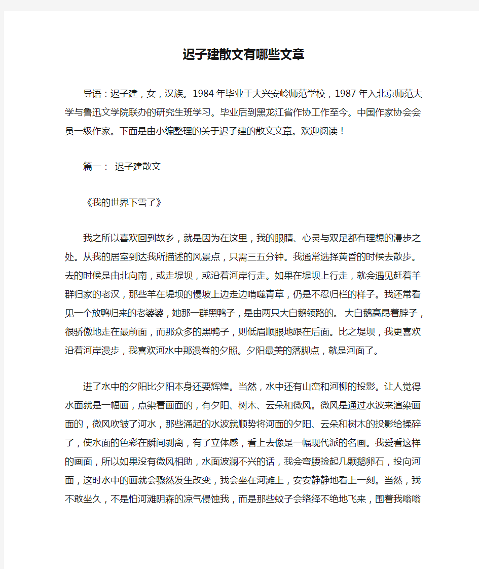 迟子建散文有哪些文章