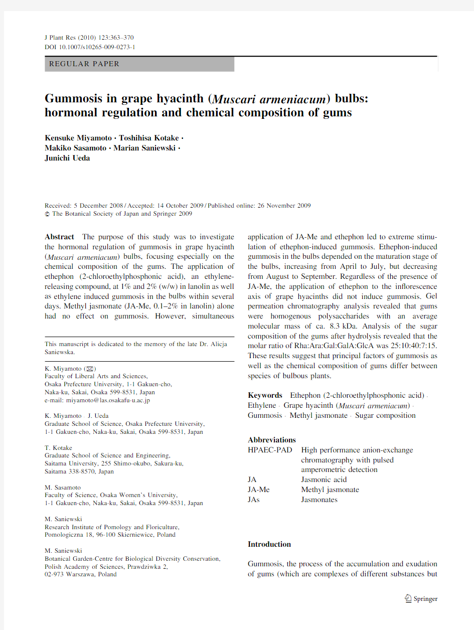 Gummosis in grape hyacinth bulbs,hormonal rugulation and chemical composition of gums