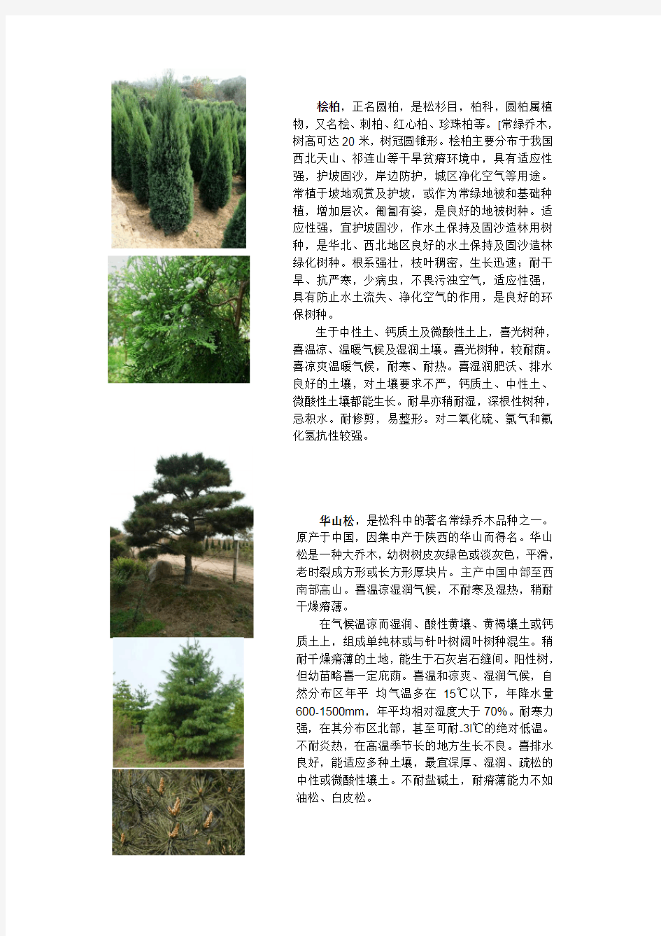 园林景观常用植物配置图