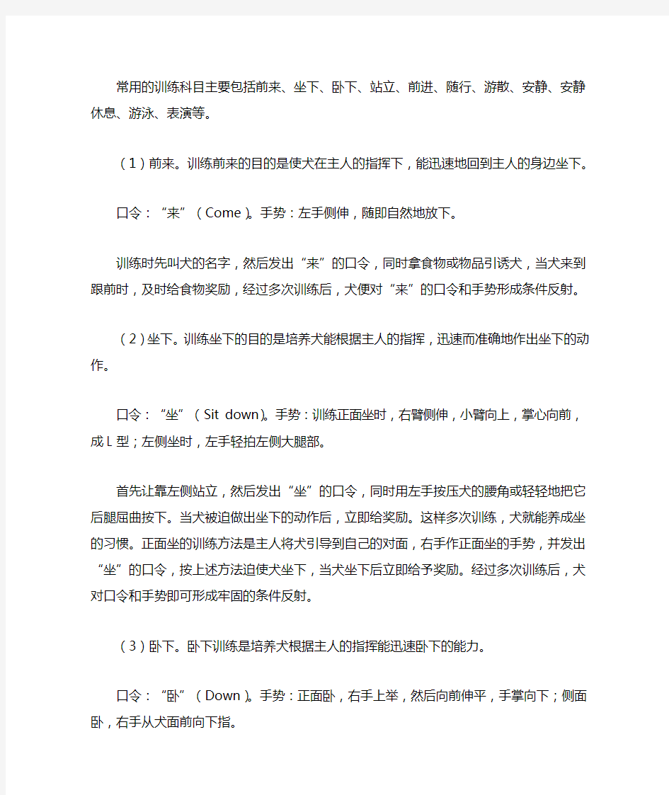 狗狗训练19个指令