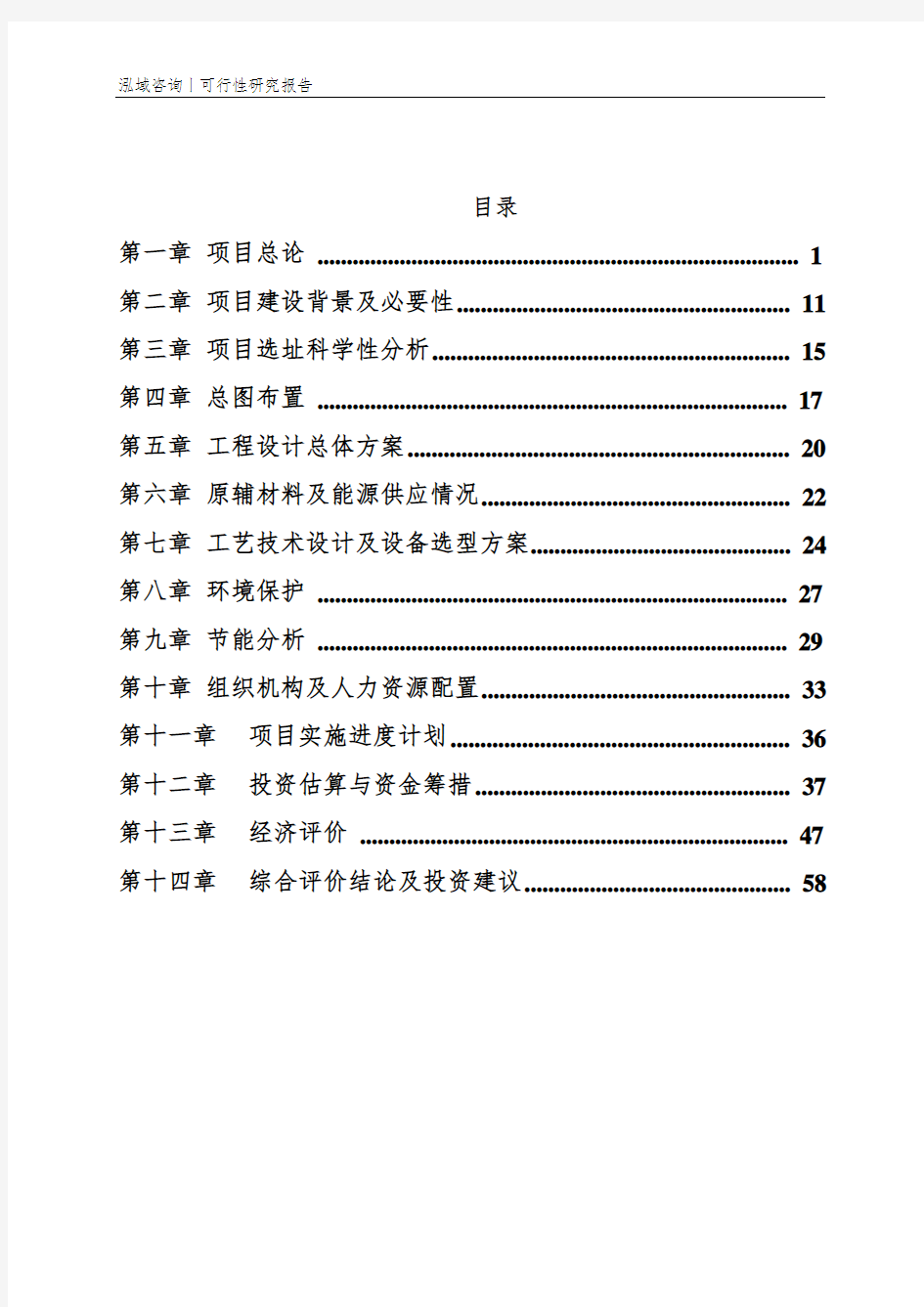 电动车项目可行性研究报告