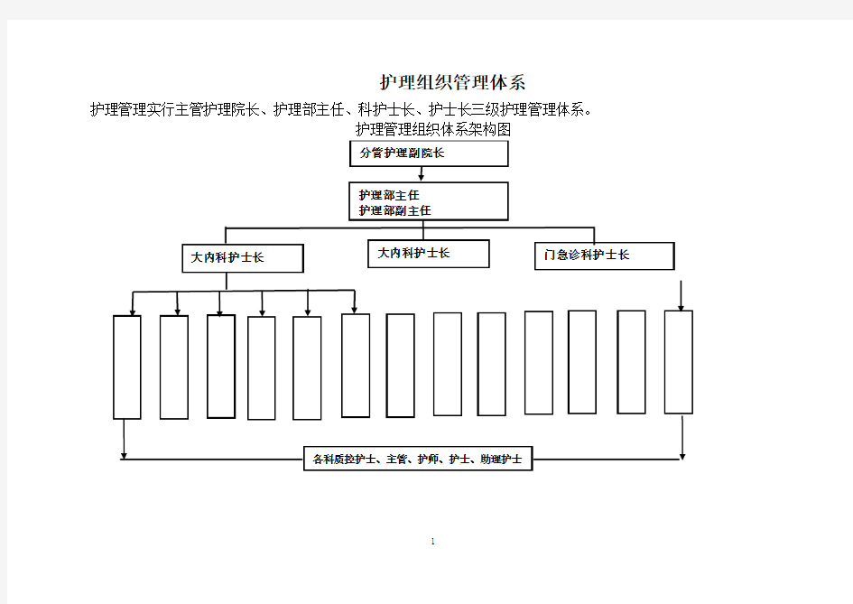 护理管理组织体系架构图