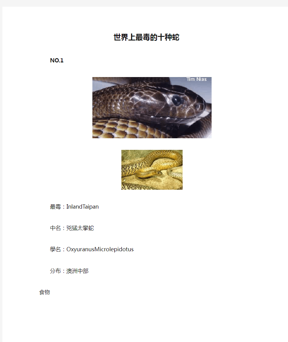世界上最毒的十种蛇_毒蛇世界_毒蛇图片