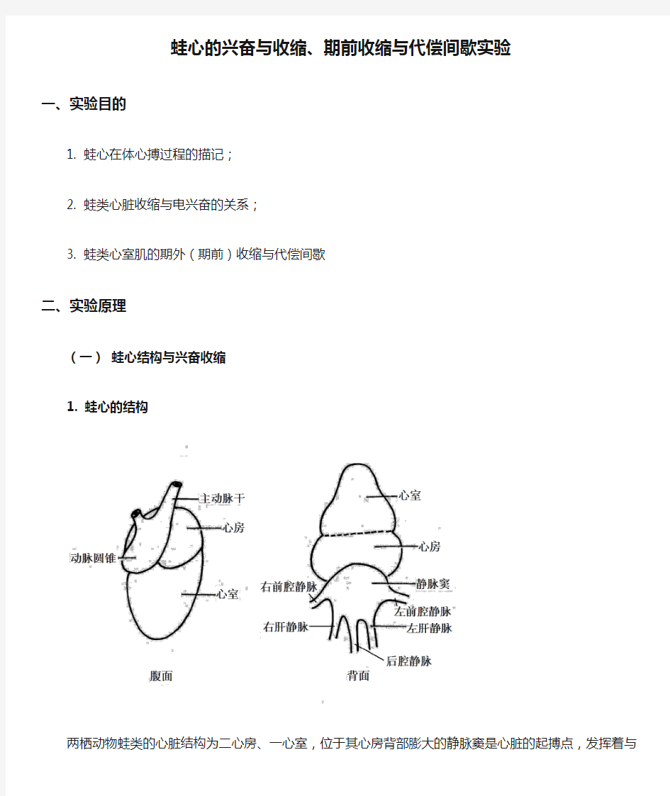 蛙心的兴奋与收缩、期前收缩与代偿间歇实验