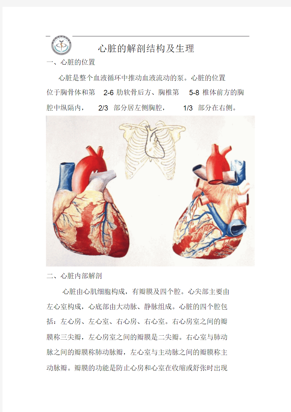 心脏地解剖结构与生理(含彩图)
