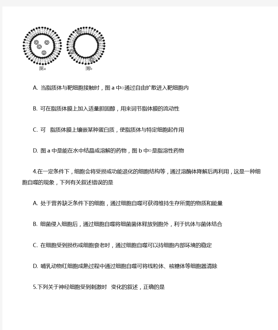 2019年湖南省师大附中高三下学期三模理综生物试题(原卷版)