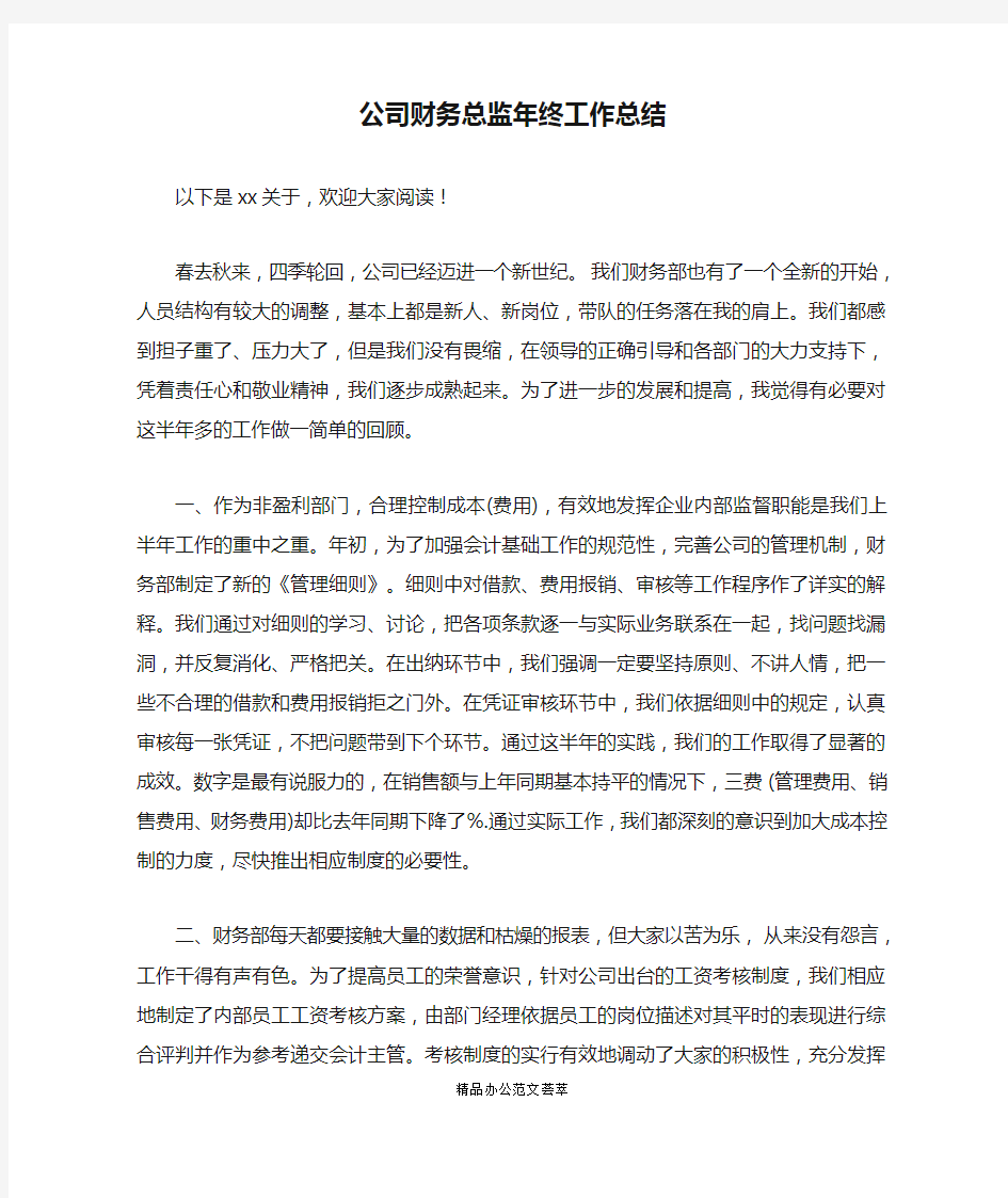 公司财务总监年终工作总结