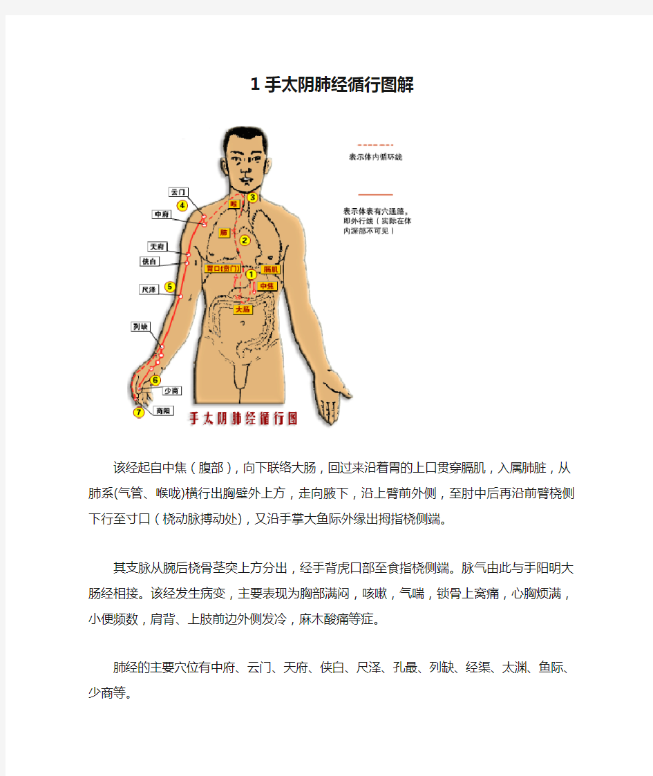 1手太阴肺经循行图解