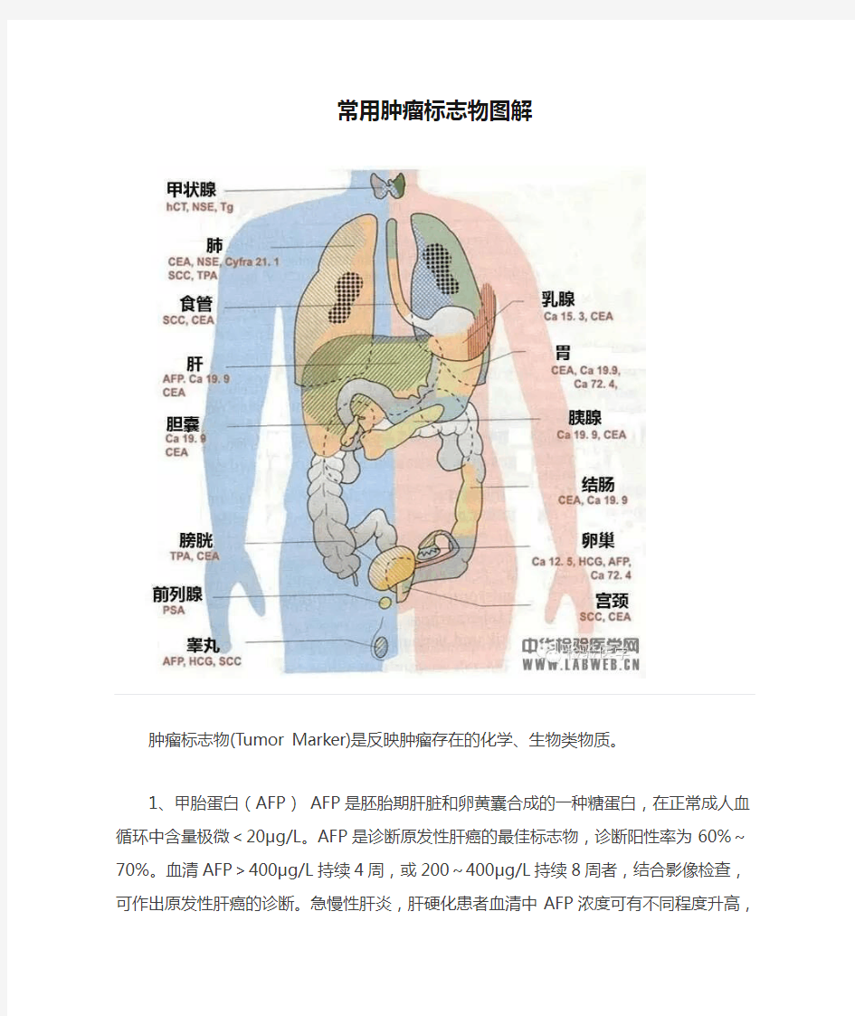 常用肿瘤标志物图解