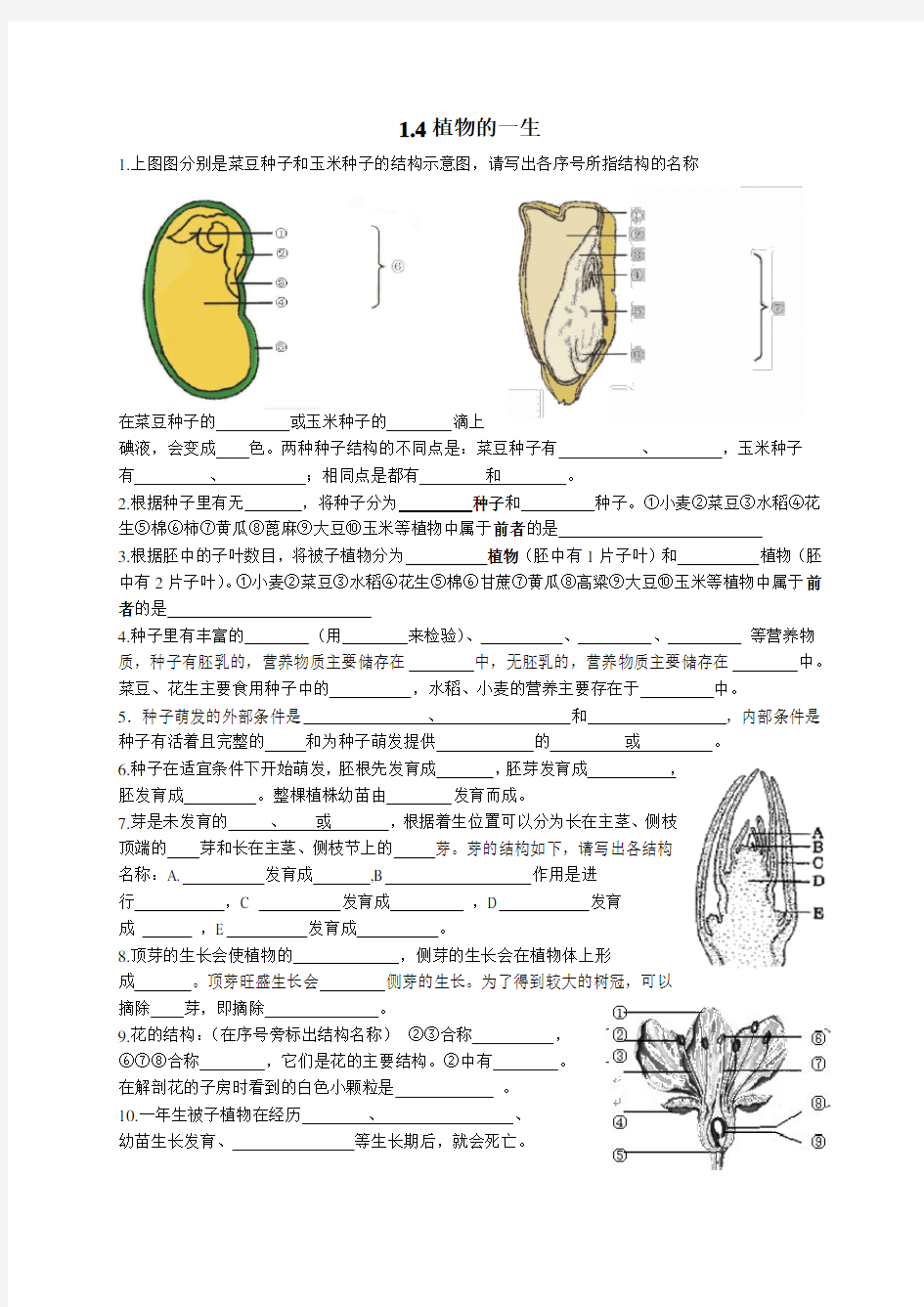 1.4植物的一生(知识点整理)