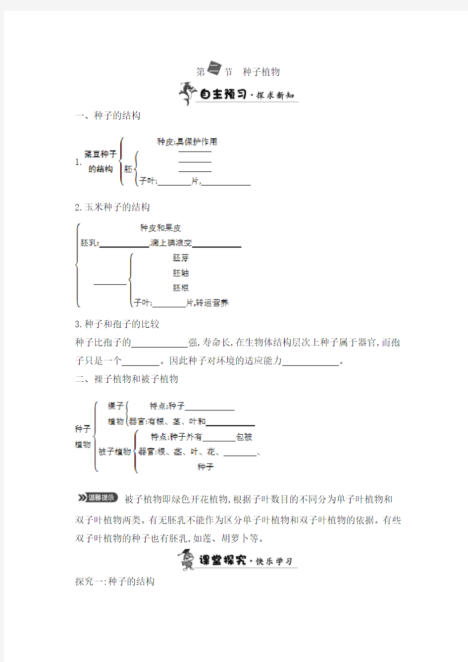 第二节 种子植物