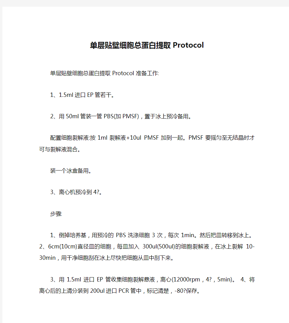 单层贴壁细胞总蛋白提取Protocol