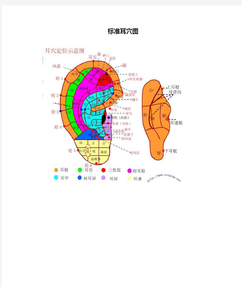 标准耳穴图