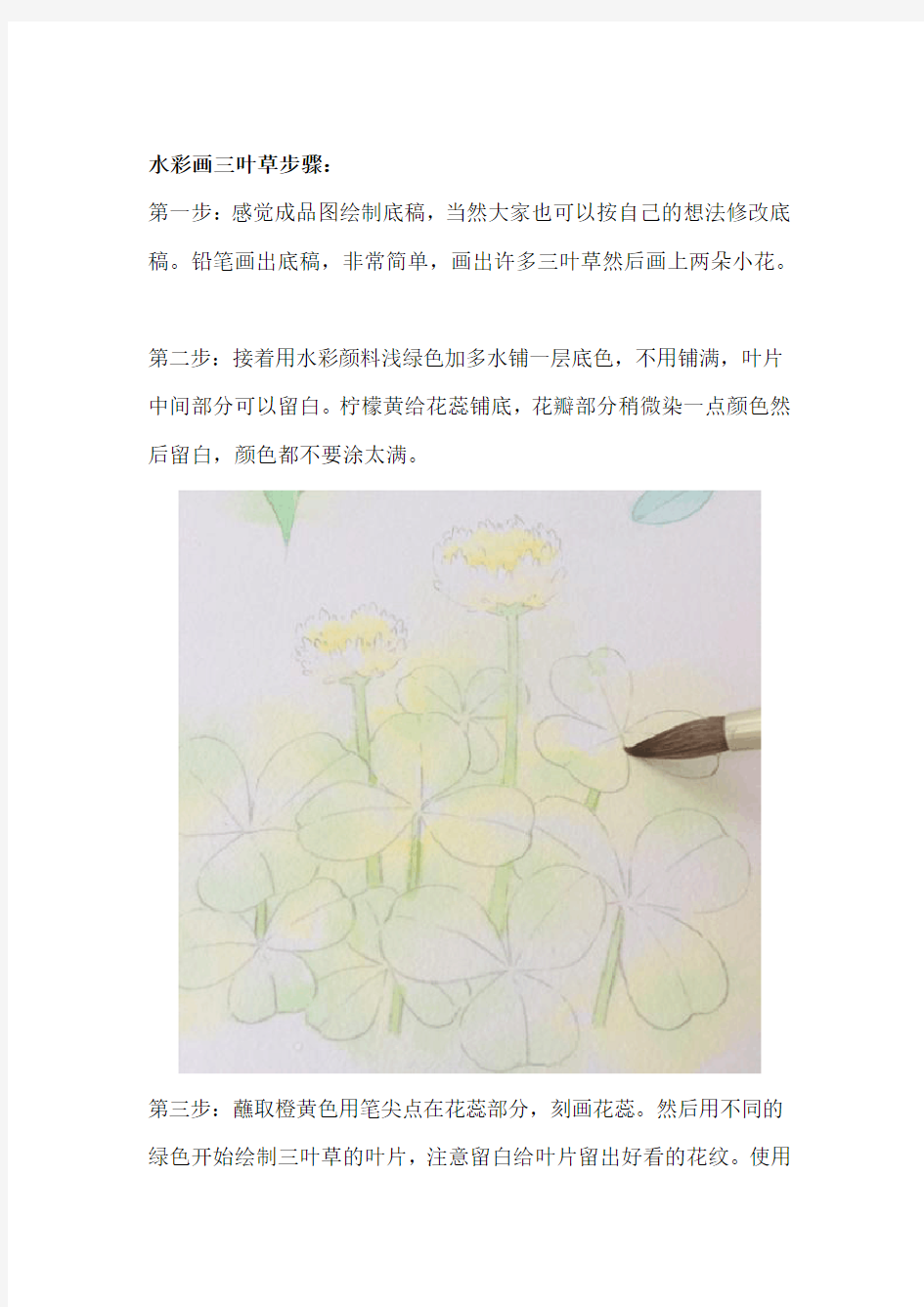 水彩花卉三叶草绘画步骤