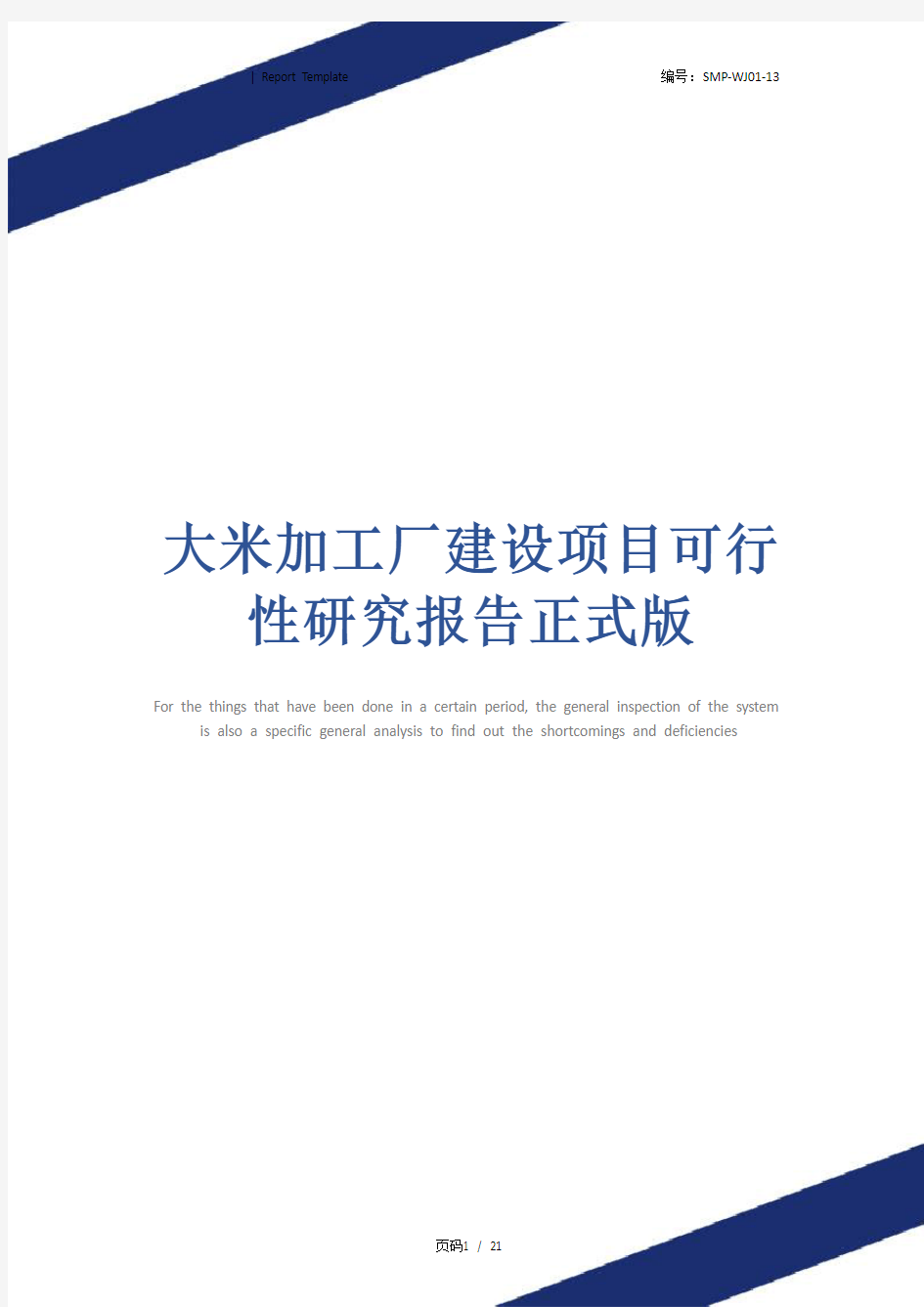 大米加工厂建设项目可行性研究报告正式版