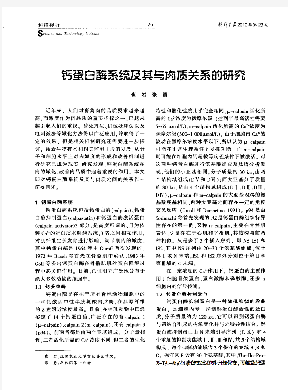 钙蛋白酶系统及其与肉质关系的研究