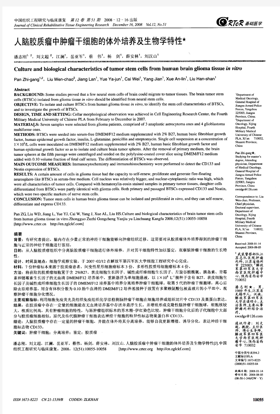 人脑胶质瘤中肿瘤干细胞的体外培养及生物学特性(1)