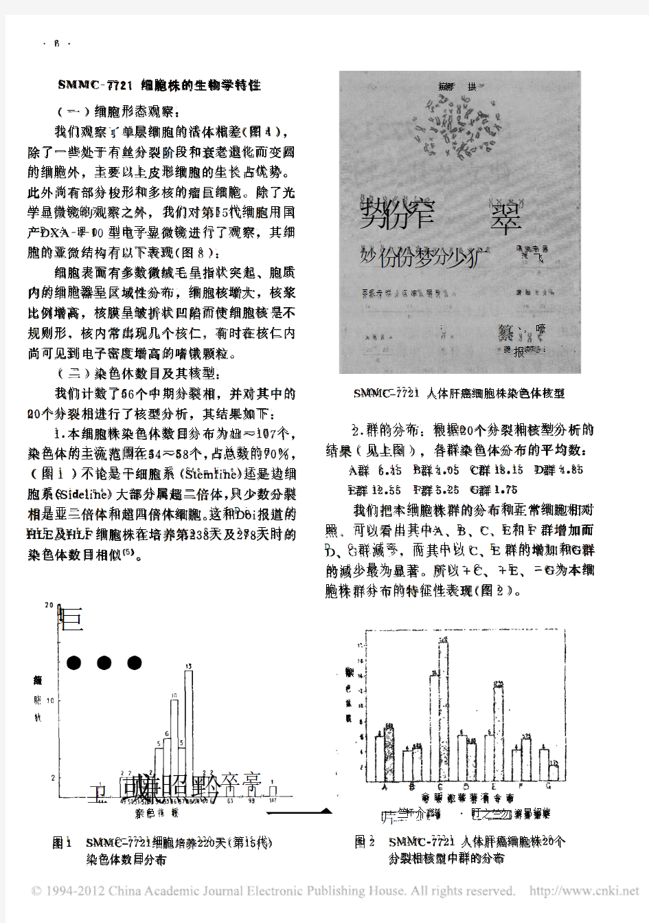 SMMC-7721人体肝癌细胞株的建立及其生物学特性的初步观察