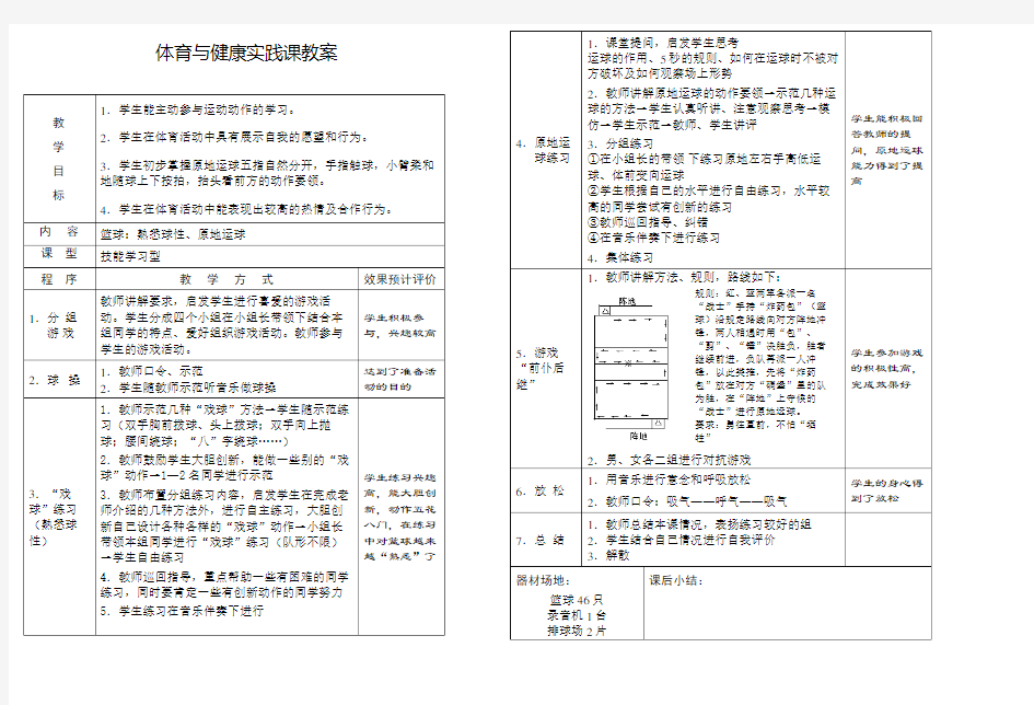 体育与健康实践课教案