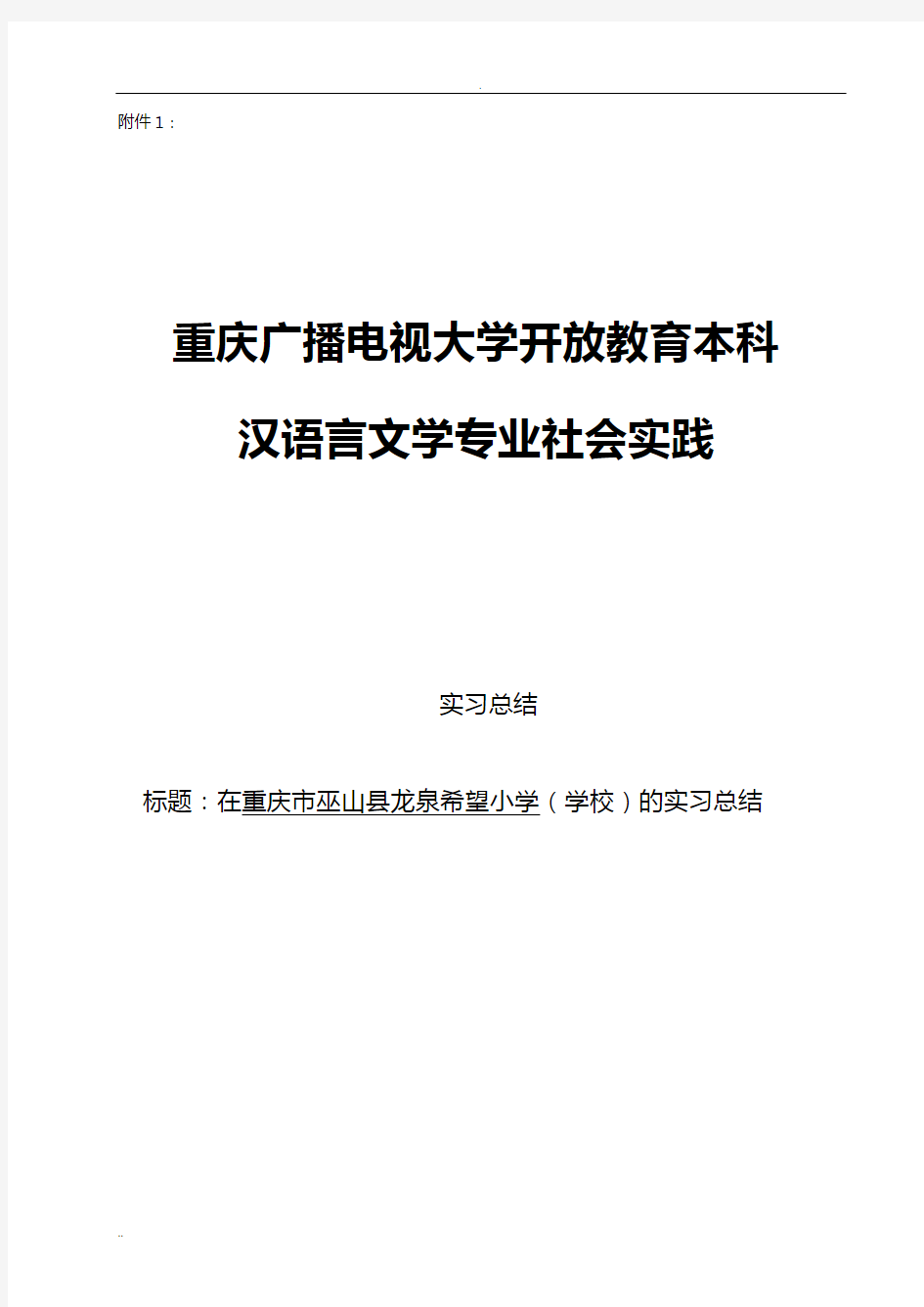 汉语言文学专业社会实践报告