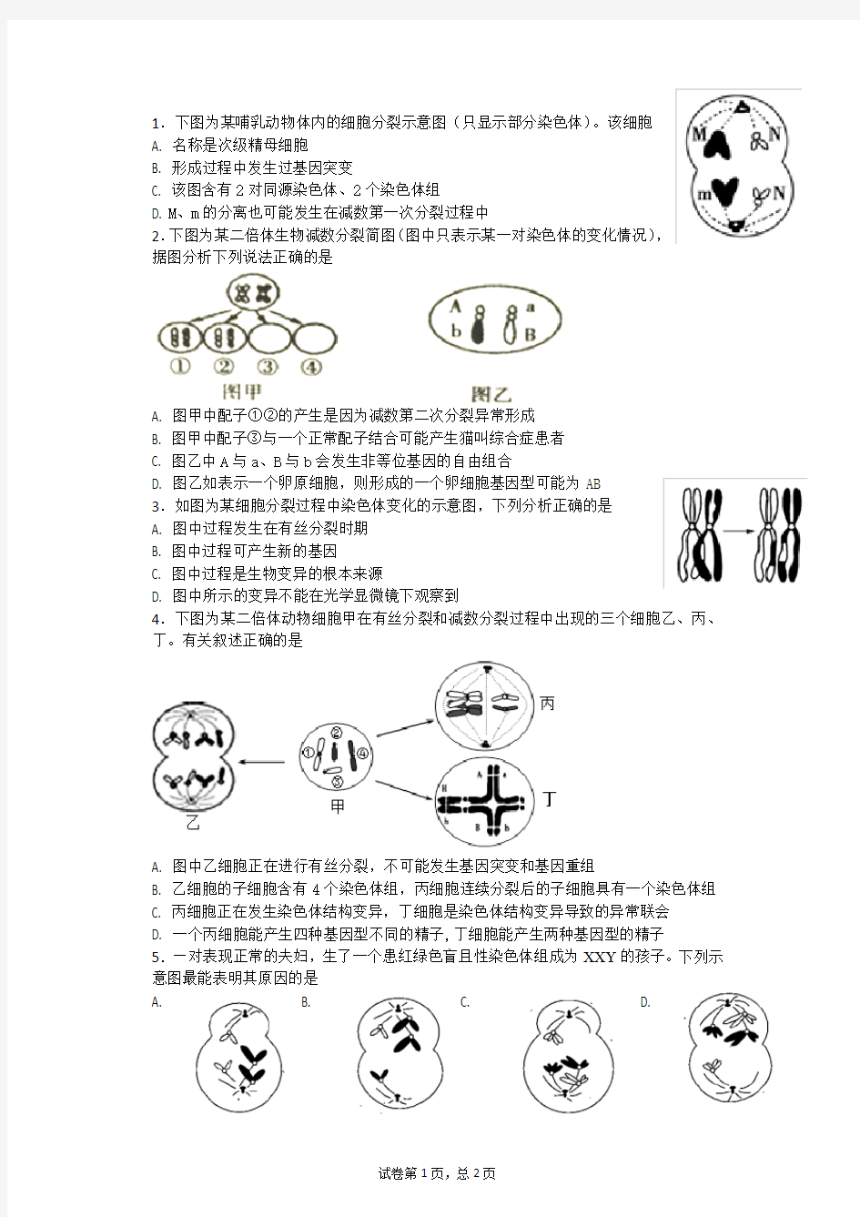 细胞分裂习题练