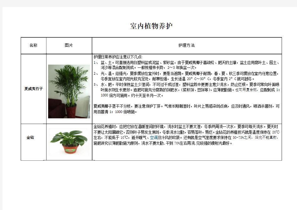 办公室植物养护方法