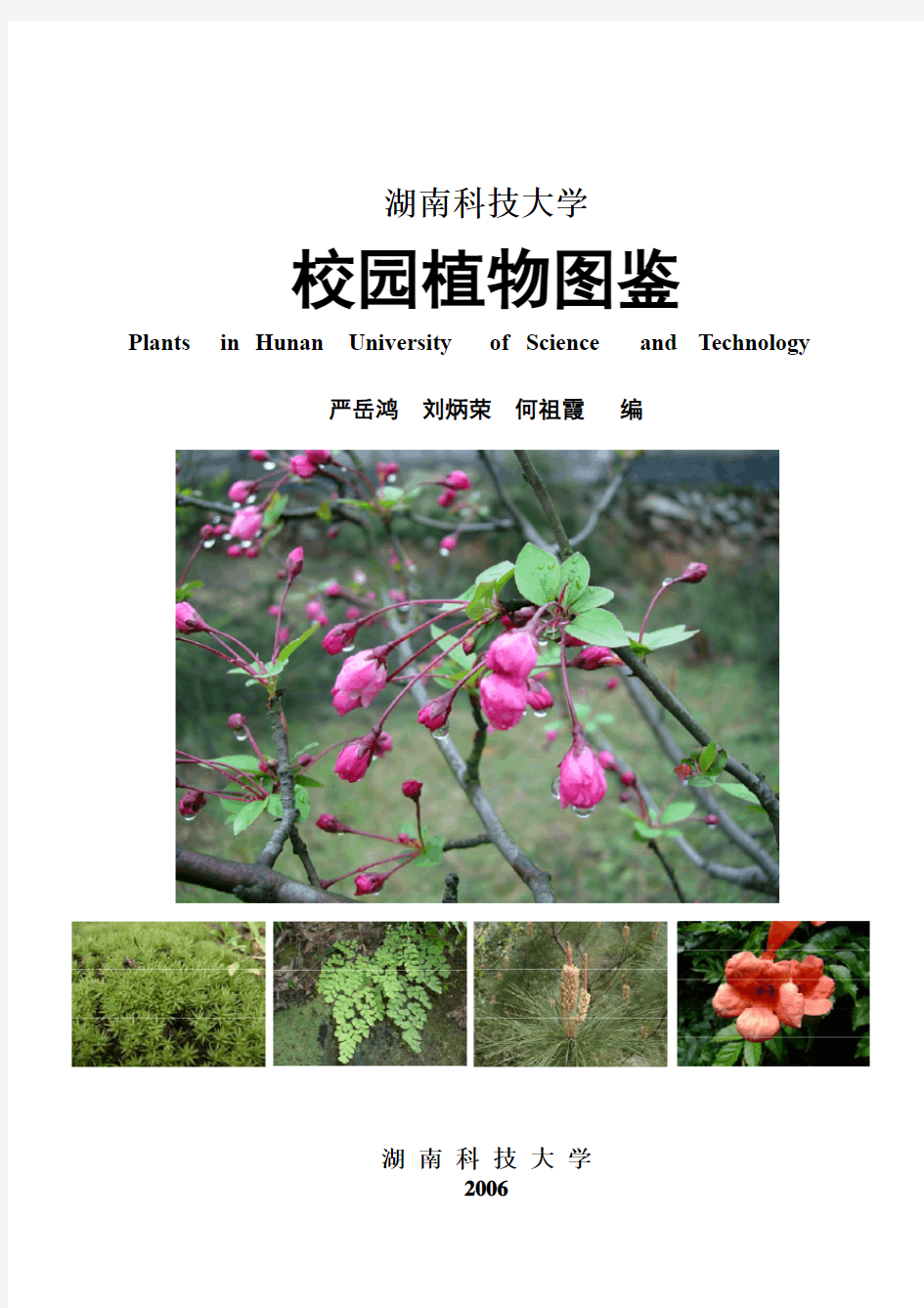 1湖南科技大学校园植物-封面-前言-目录-参考文献