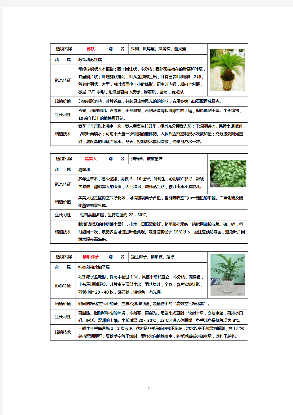 50种常见室内盆栽绿化植物介绍(带图片)